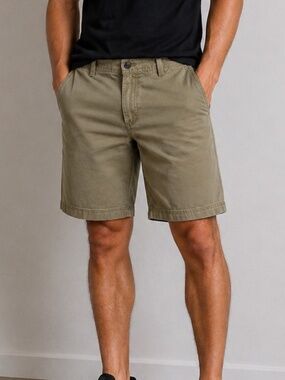 Men's Izod Shorts size 34